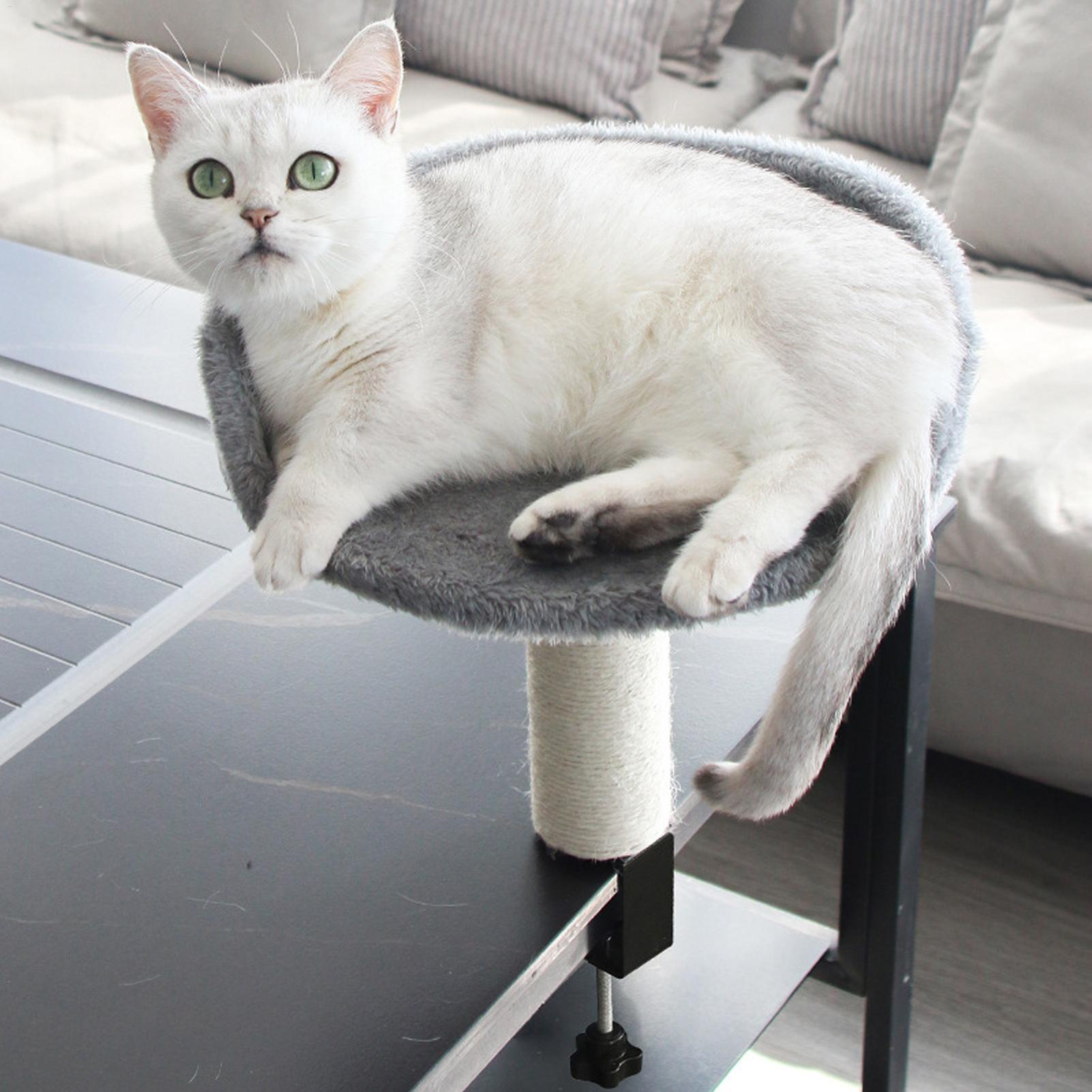 Cuccia per Gatti da Scrivania  - Under Desk Hammock recensione e prezzo
